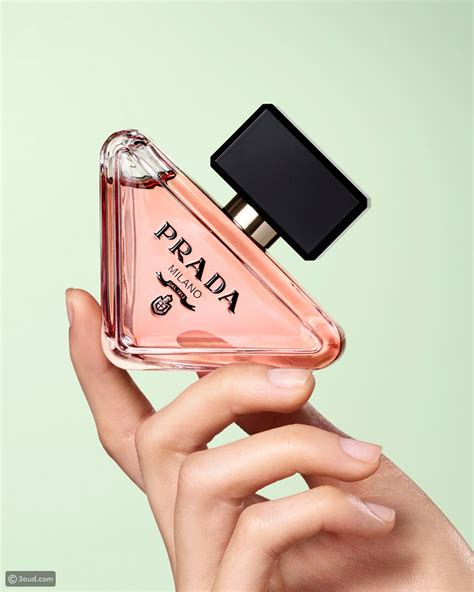 prada perfume the bay|prada paradoxe thebay.